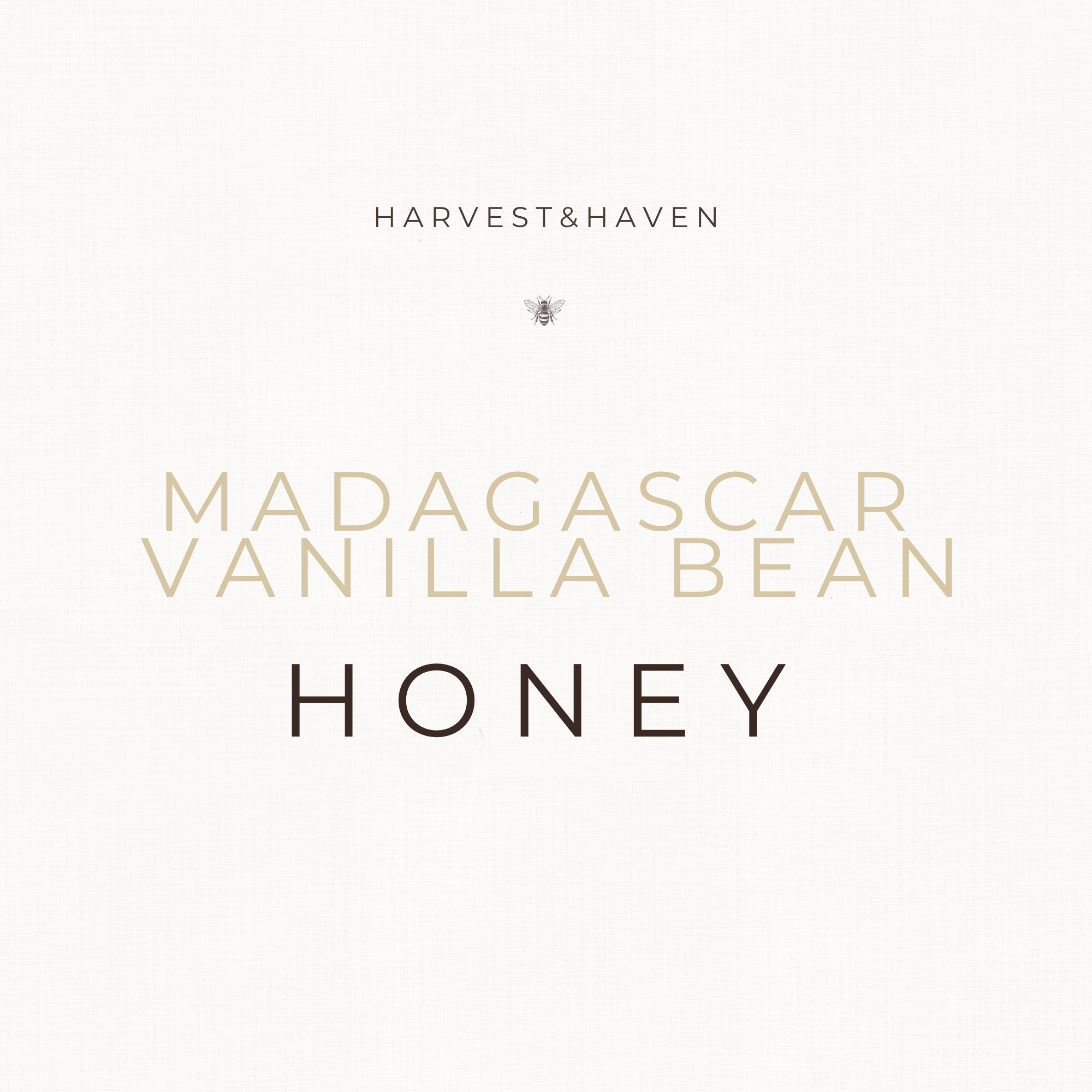Madagascar Vanilla Bean Honey