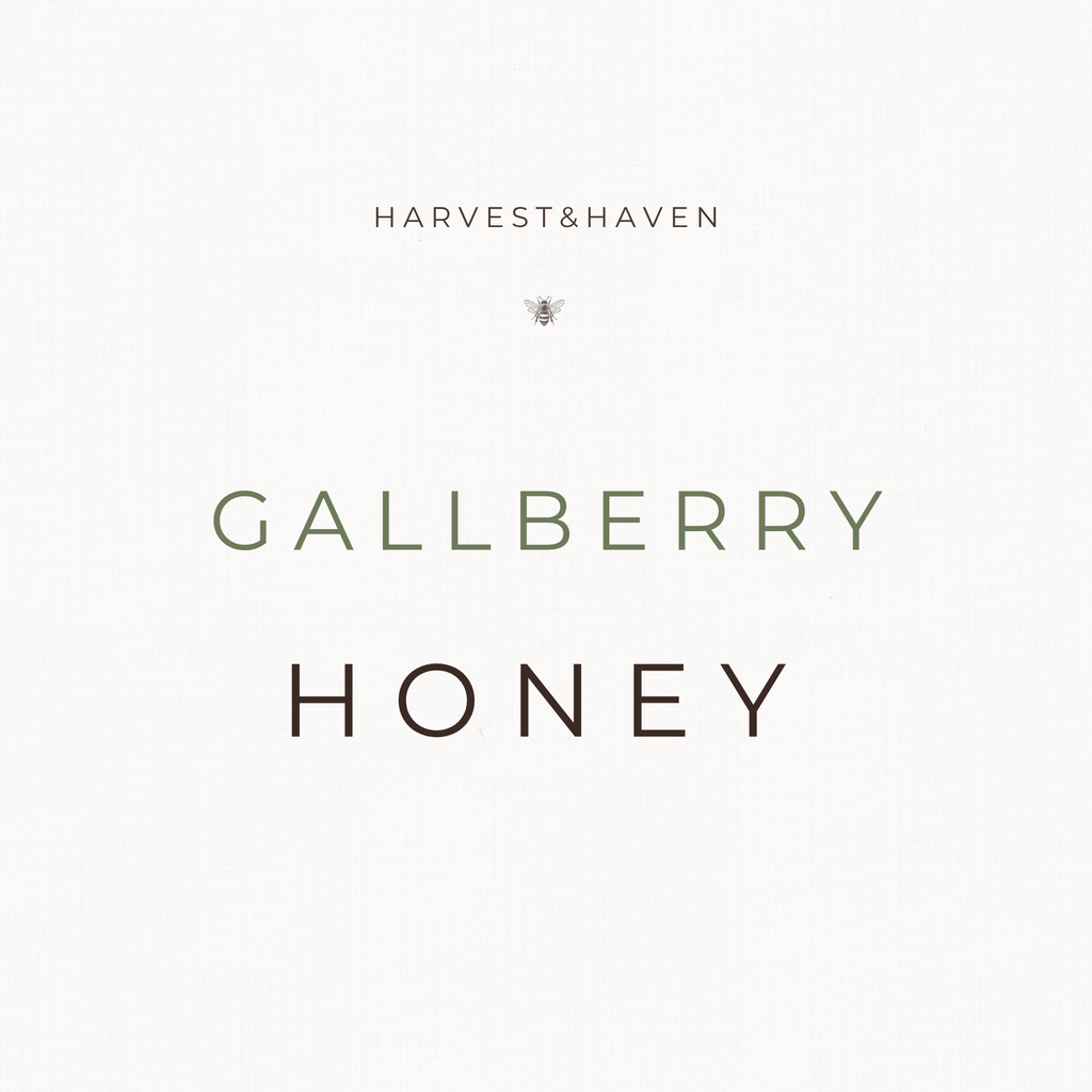 Gallberry Honey