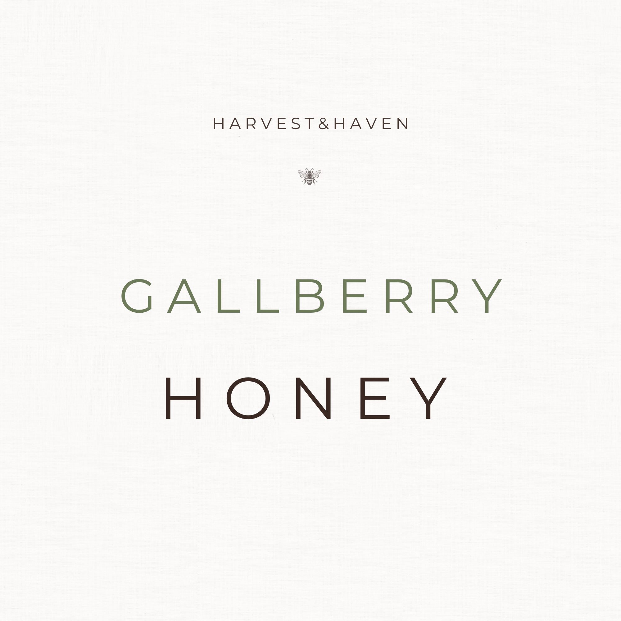 Gallberry Honey | 16oz